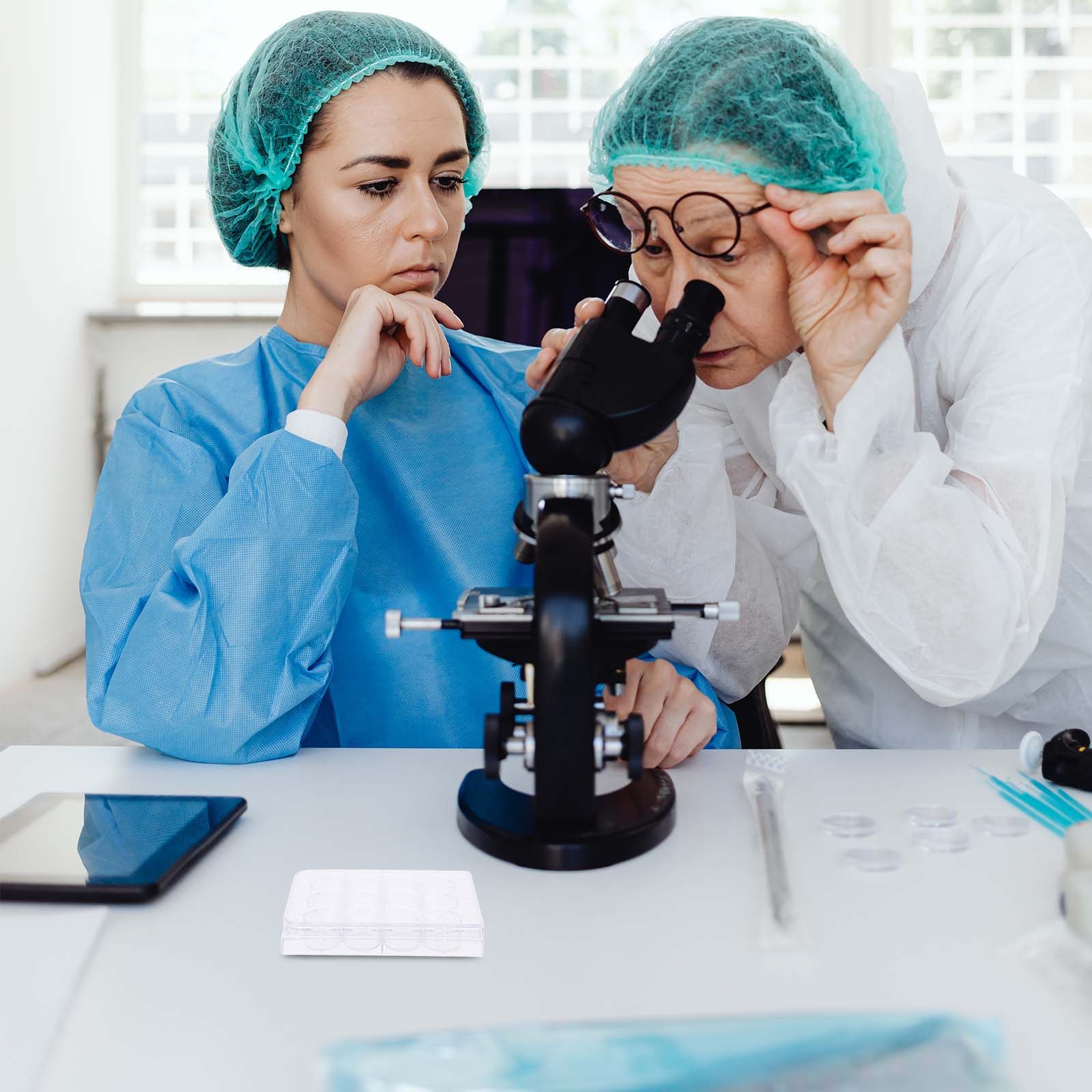 Lab Equipment - Placa de cultura de células com