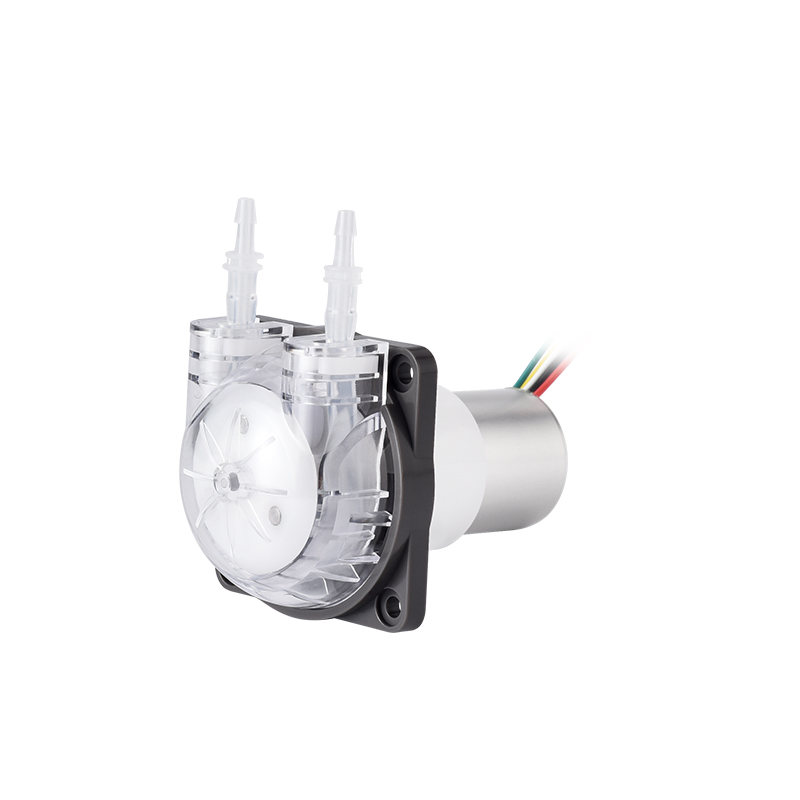 Bomba Peristáltica Micro PENGP - Mini Peristaltic Pump 12V avaliação e preço